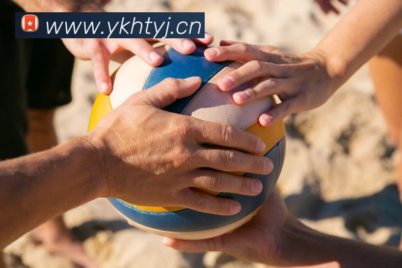 bat365在线登录入口平台生态图